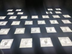 -MOJO密室逃脱(中街旗舰店)