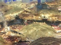 -浩运·海鲜青岛菜·海胆水饺(石老人店)