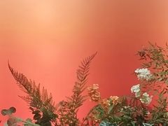 -琵琶语评弹茶馆(苏州平江路店)