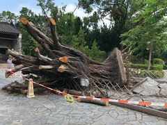 -九龙寨城公园