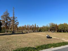 -良渚古城遗址公园