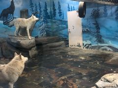 -梦幻海洋王国(吾悦广场张家港店)