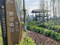 -长田漾湿地公园