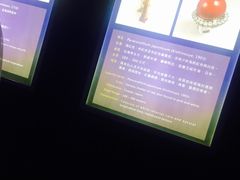 -绮丽珊瑚博物馆(台东店)