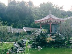 -清湖文化公园