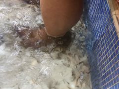 -水晶之星洗浴温泉汗蒸