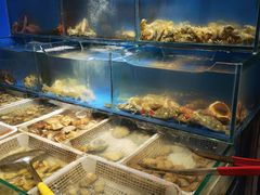 水产区-潮庭·大连海鲜·炭火烧烤·扇贝王(大连店)