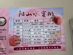 -老袁家蜜桃农场·阳山水蜜桃