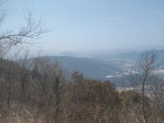 -惠山国家森林公园