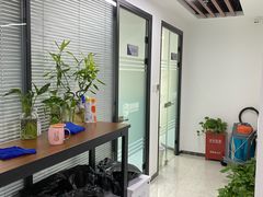 -新航道雅思托福·留学·考研培训(人民广场校区)