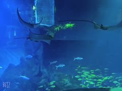 -威海华夏城景区