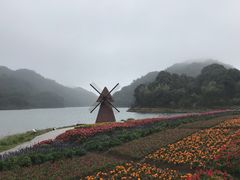-广州市石门国家森林公园