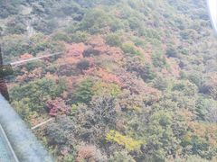 -少华山国家森林公园