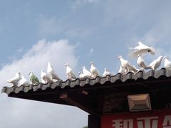 -飞来湖湿地公园