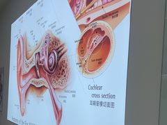 -自然之声助听器·呼吸机(康桥旗舰店)