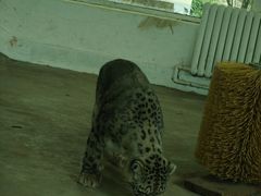 -青藏高原野生动物园