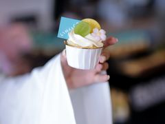 -青岛鸿发智越领克新能源中心