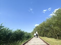 -西青郊野公园