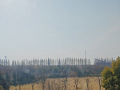 -黄海国家森林公园