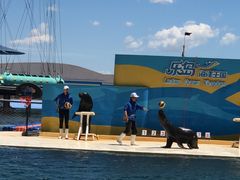 -秦皇岛乐岛海洋王国