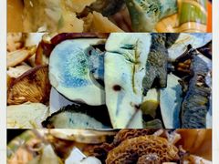 -草墩罗非鱼庄•野生菌•腊排骨(七星街上段店)