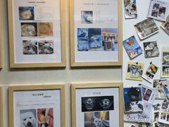-半岛宠物医院24小时·内窥镜·牙科·碎石中心(府城大道店)