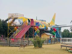 -苏州太湖西山岛开心农场