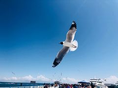 -青海湖国家重点风景名胜区