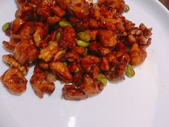 -大鸭梨烤鸭店(花园村店)