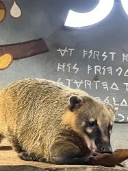 -Zoolung Zoolung动物主题公园(海信广场店)