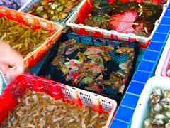 -霞涌市场海鲜摆卖区