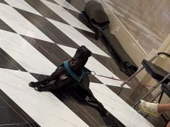 -小刘烧烤(中山门大街店)