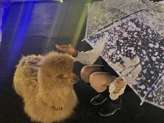 -Blue Concept Cafe&Farm·關於藍