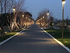 -长田漾湿地公园