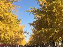 -辽宁大学(崇山校区)