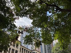 -大馆(前中区警署建築群)
