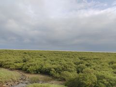 -北海金海湾红树林生态旅游区