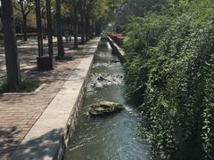-洛阳市隋唐城遗址植物园