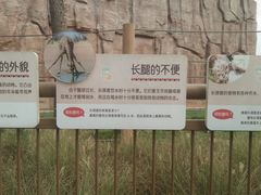 -武汉动物园