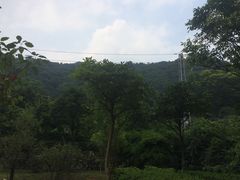 -清溪森林公园