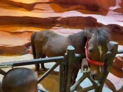 -酷嗒动物文化乐园(cutezoo西溪乐天城店)