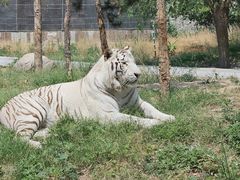 -五龙山野生动物王国