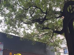 -四里沙茶面(湖滨四里店)