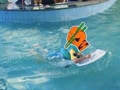 -南宫温泉水世界