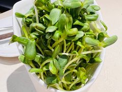 -浩爷羊蝎子火锅(望京店)