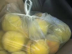 -樂桃源奉贤黄桃种植采摘基地