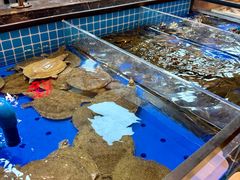 -黑金·寻焰自助百汇·烤肉·火锅(中街店)