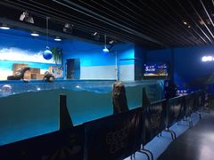 -沙沙哗啦海洋馆(华宇百花谷店)