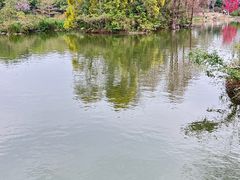 -海珠湖公园