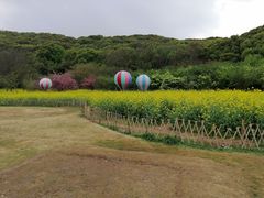 -苏州上方山国家森林公园